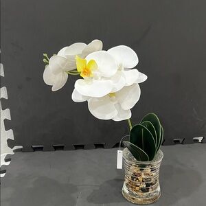Elegant White Orchid in Glass Vase